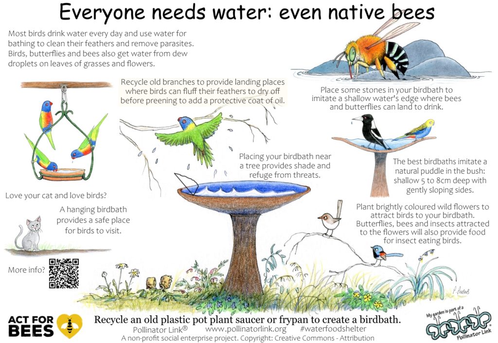 Water for birds bees poster