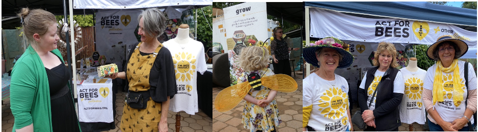 Bee Festival Queanbeyan Hive
