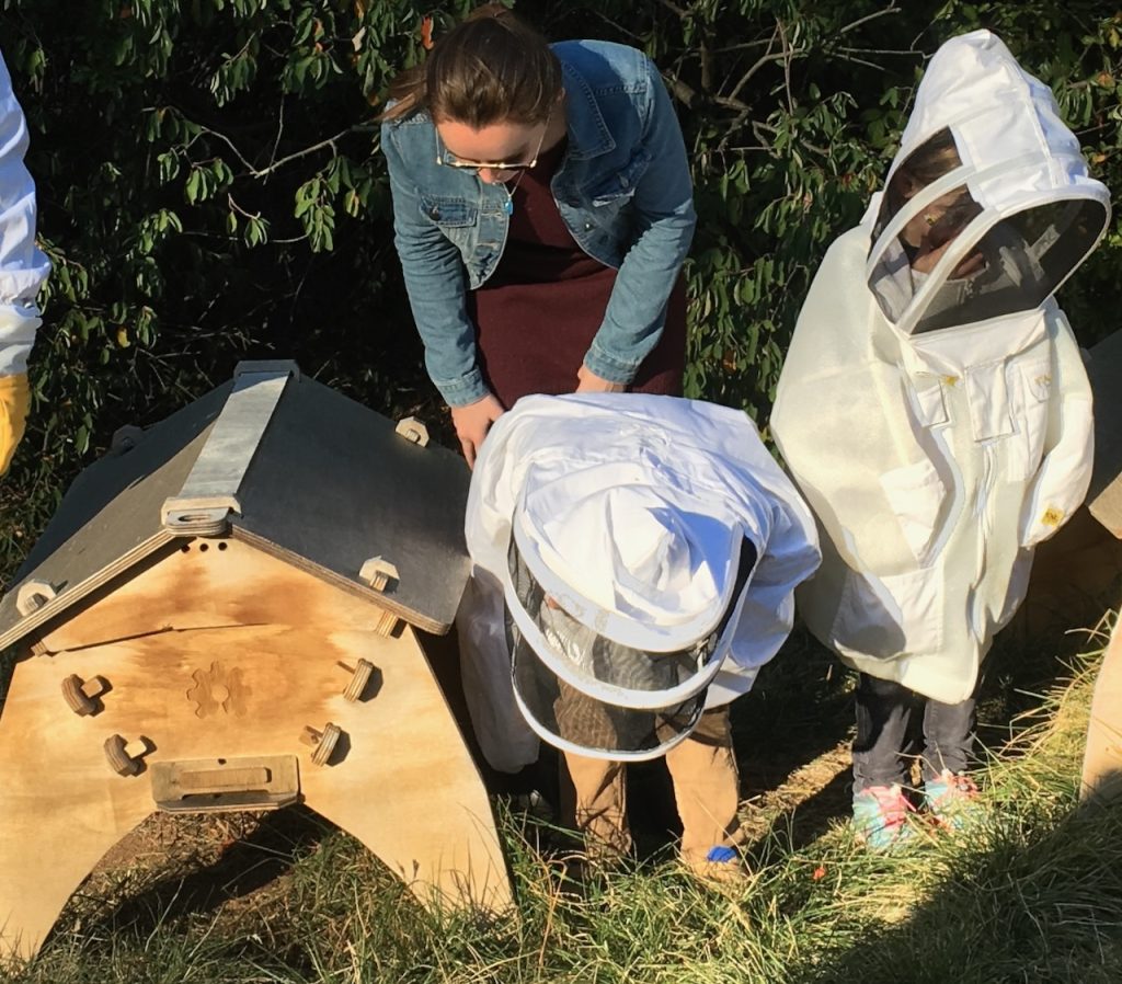 Meg and the little bees checking out the Swedish Embassy's honey bee hive at the World Bee Day event that attracted more than 2000 visitors to the Embassy. It was buzzzing!