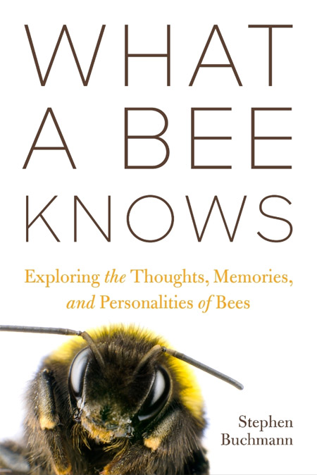 Book cover - What a bee knows