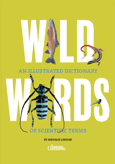Book cover - Wild Words