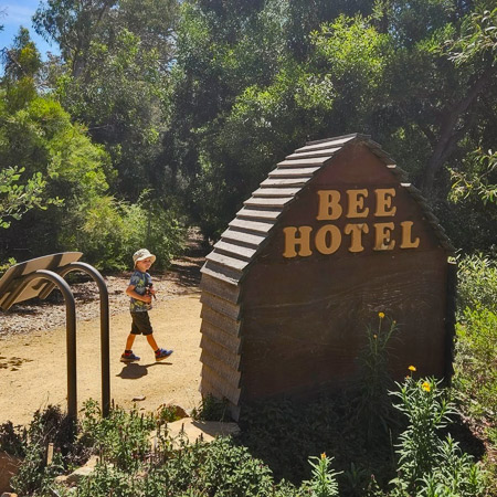 Young boy inspecting the bee hotel at the Australian National Botanic Gardens.