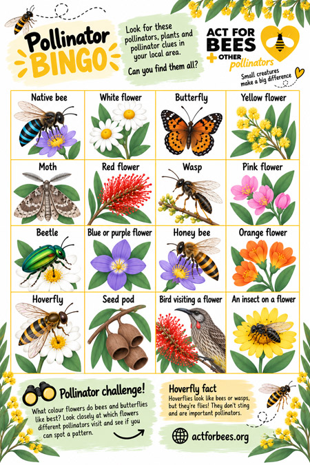 Pollinator bingo game for children.