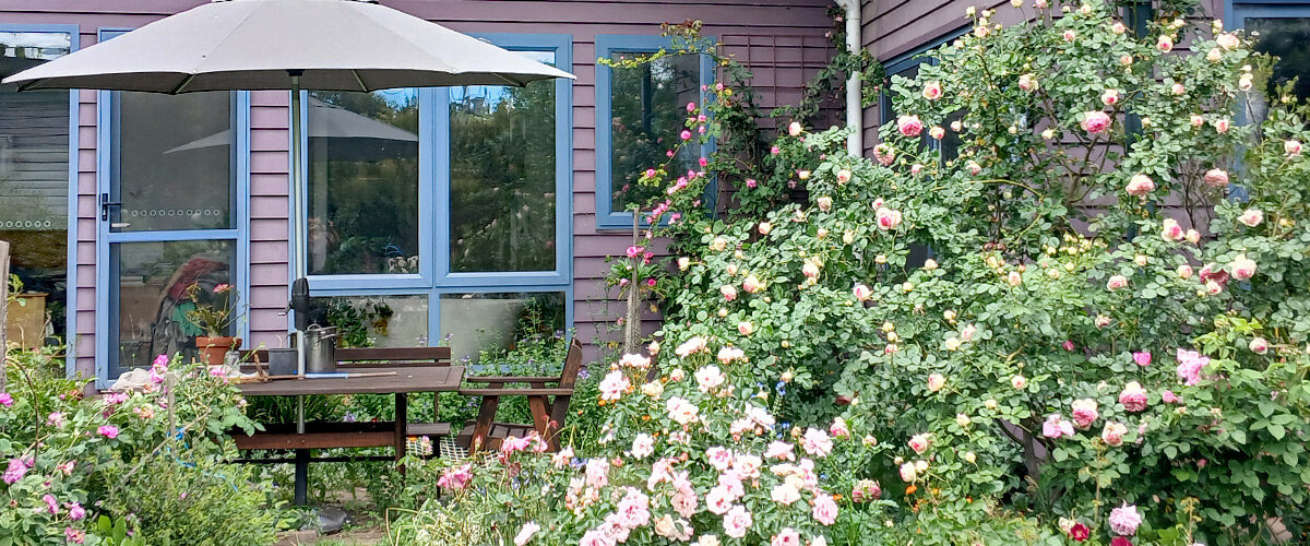 The barely-controlled chaos of Liz Fraser's garden in Spring.