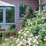 The barely-controlled chaos of Liz Fraser's garden in Spring.