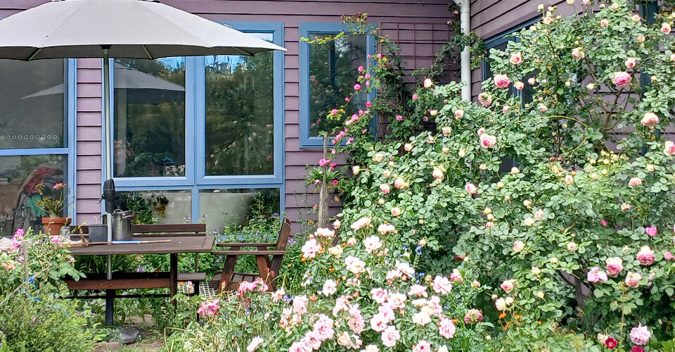 The barely-controlled chaos of Liz Fraser's garden in Spring.