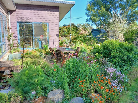 The barely-controlled chaos of Liz's garden in Spring.
