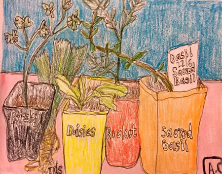 A drawing given to Liz in return for the gift of seedlings.