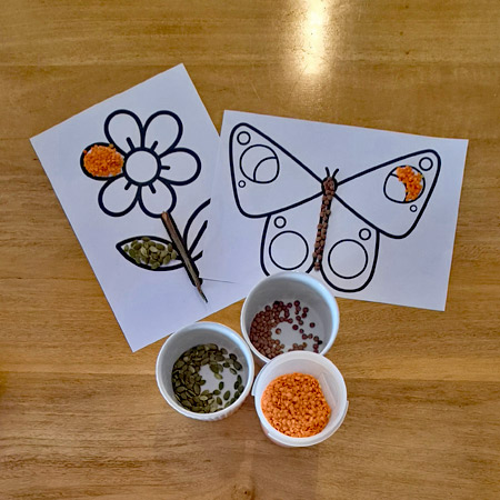 Two simple printed images - a flower and a butterfly - with sections filled in with red and brown lentils, green pumpkin seeds, and a stick from the garden as a flower stem.